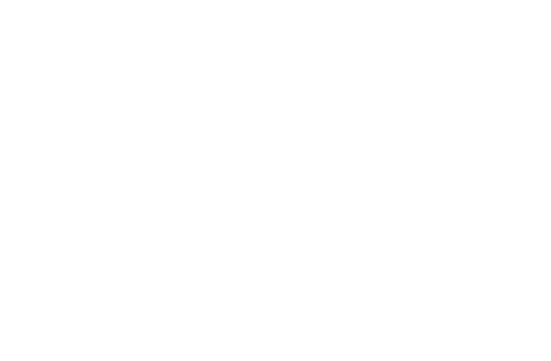 American Airlines 100