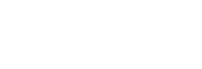 The 19th