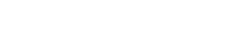 Perplexity