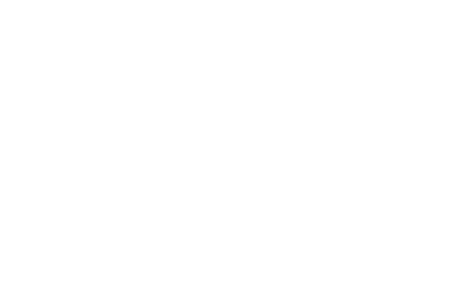 Trellis Foundation