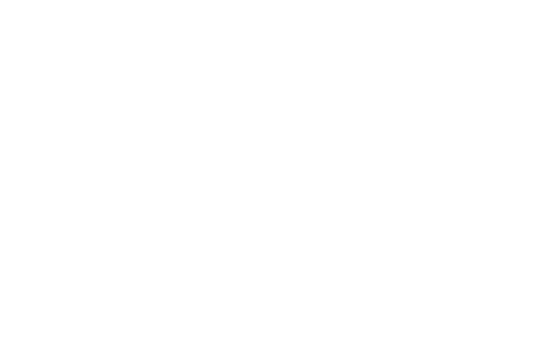 University of Texas Press